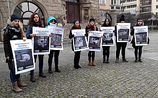 W Olsztynie protestowali przeciwko hodowaniu zwierząt futerkowych. Takie happeningi odbyły się w całej Polsce